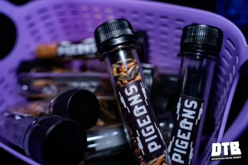 DTB_20260404_Pigeons-121